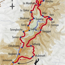 2016